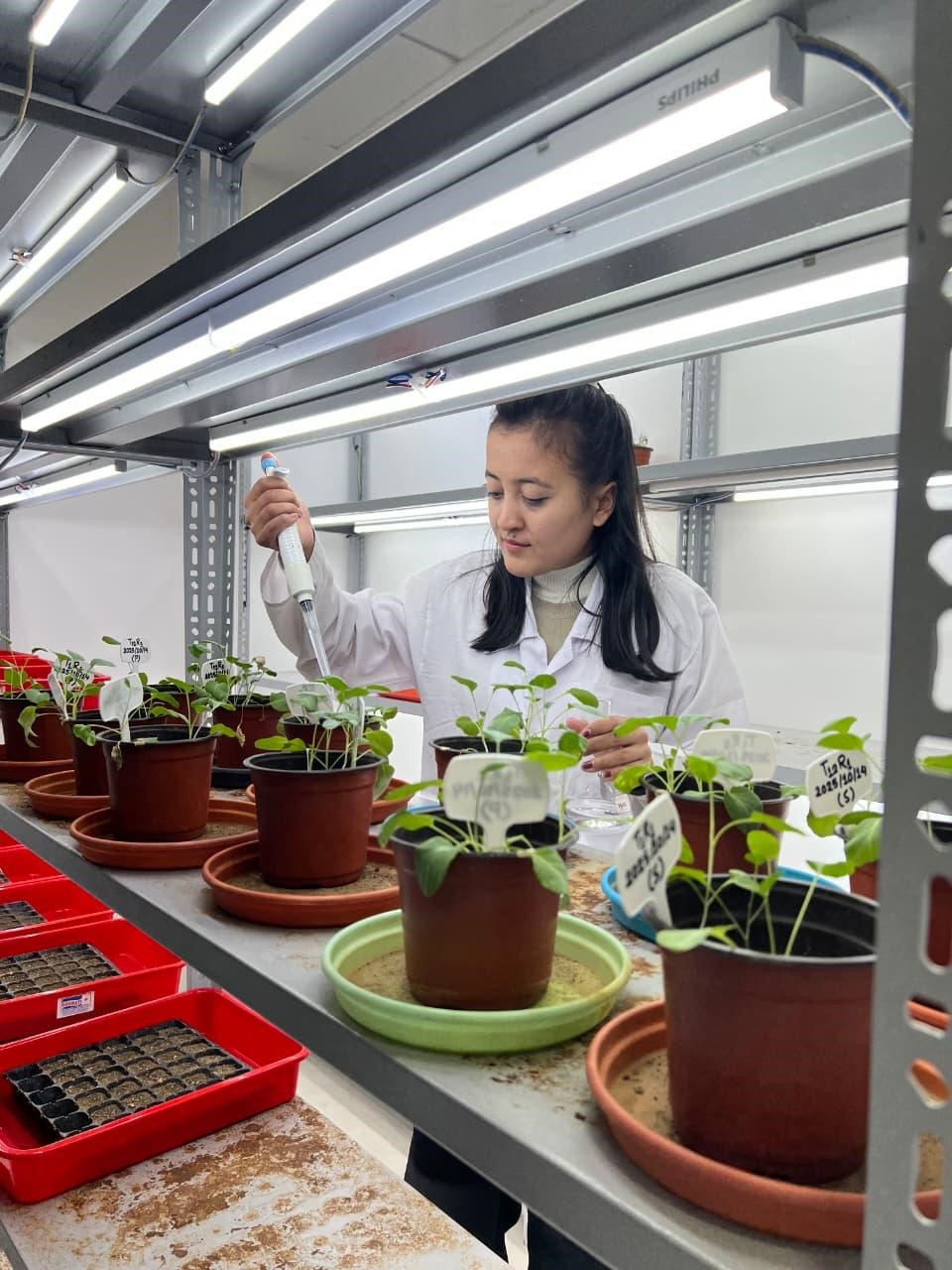 Plant growth chamber