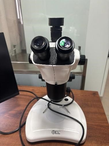 Stereomicroscope (BEL)