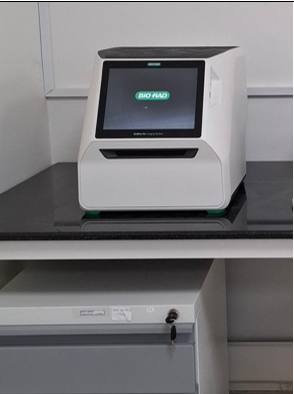 Dr. Sarbesh Das Dangol